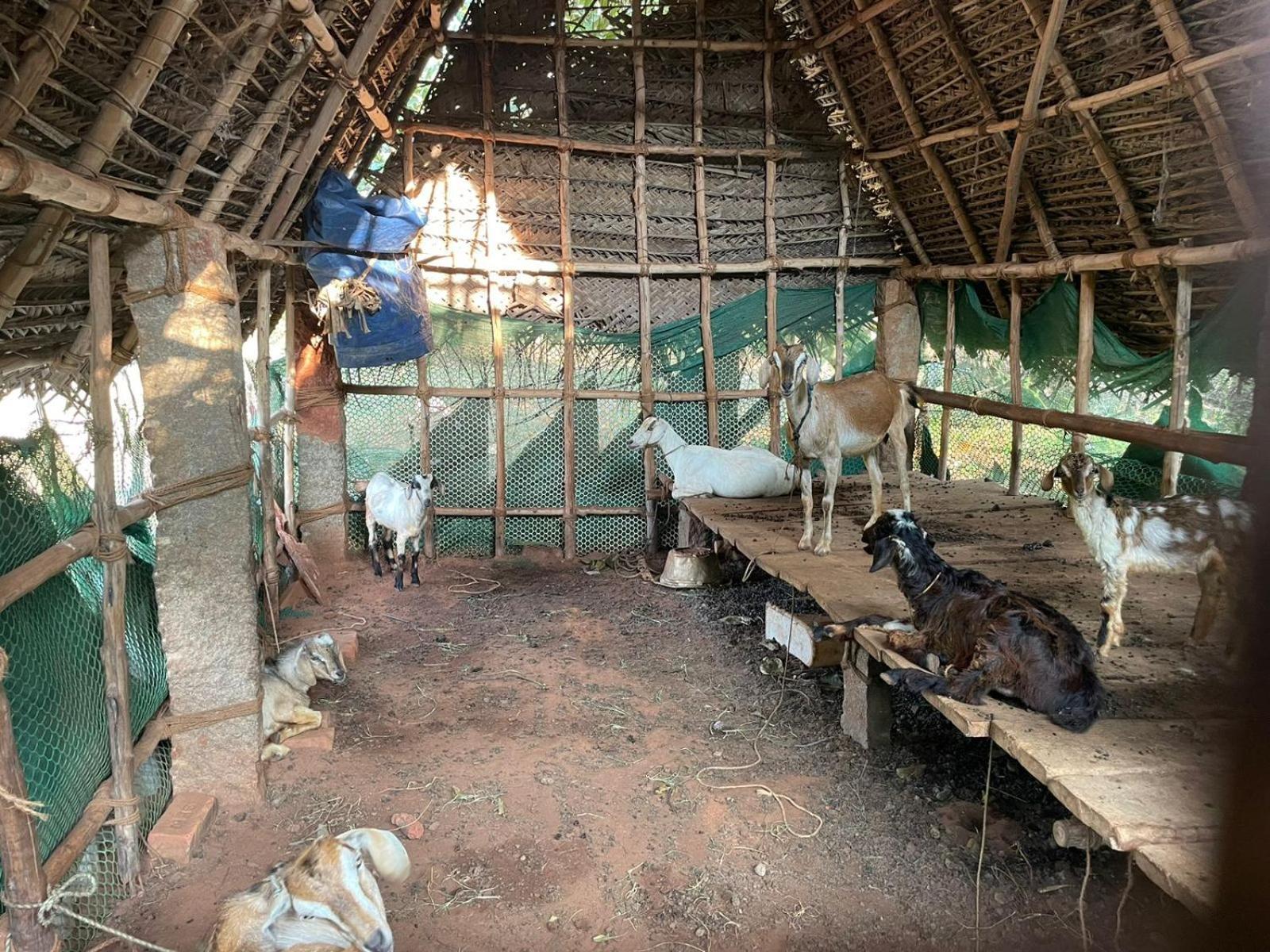 Вилла Paradise Quest Nature Farmhouse Kalapettai Экстерьер фото
